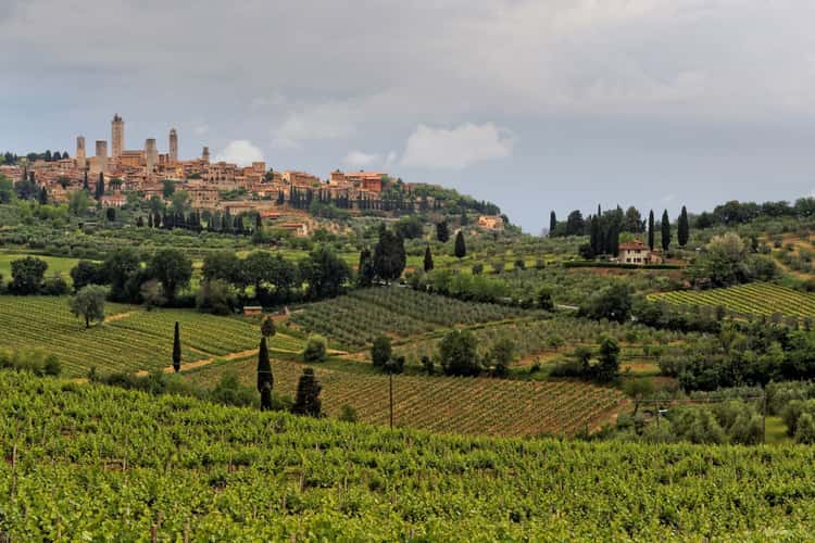 View on San Gimignano