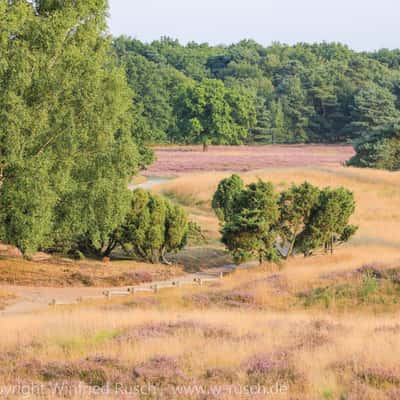 Westruper Heide, Germany