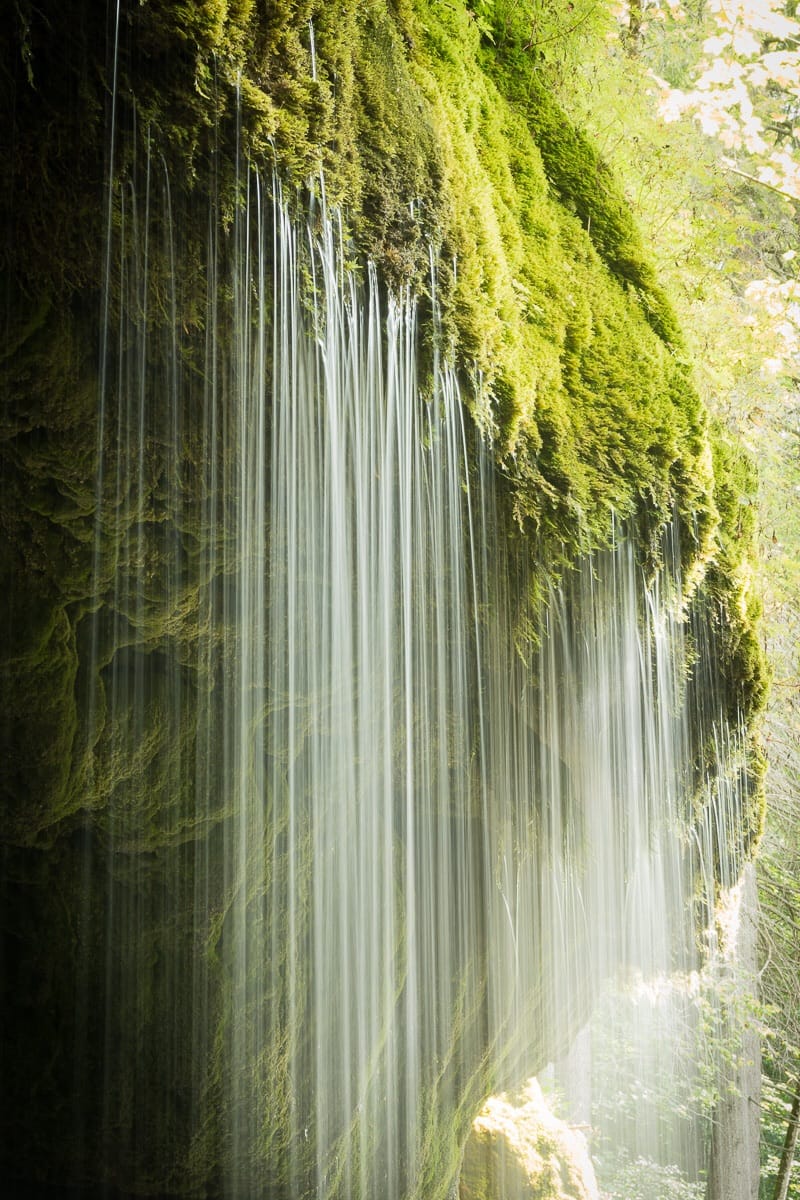 Wuttachschlucht, Black Forest, Germany