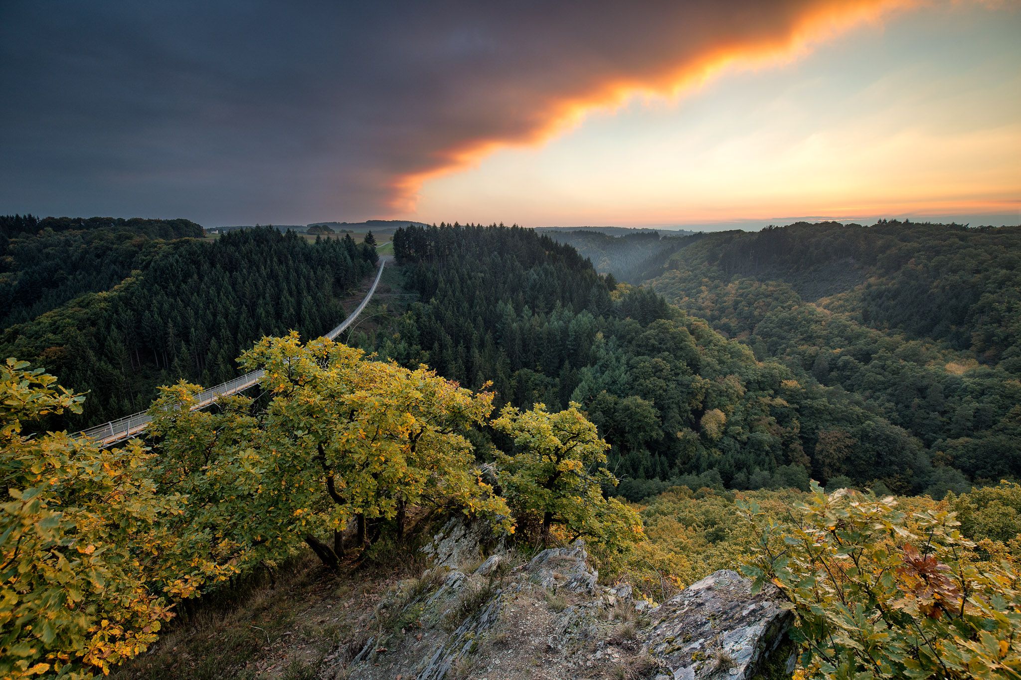 Germanys longest rope bridge Geierlay, Germany