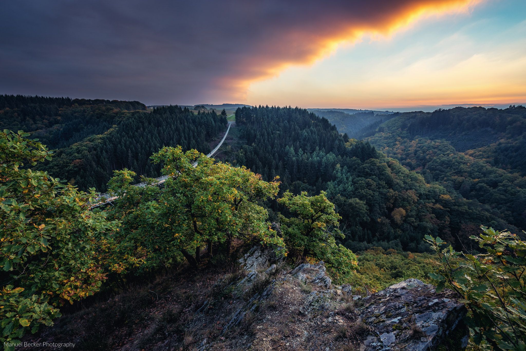 Germanys longest rope bridge Geierlay, Germany