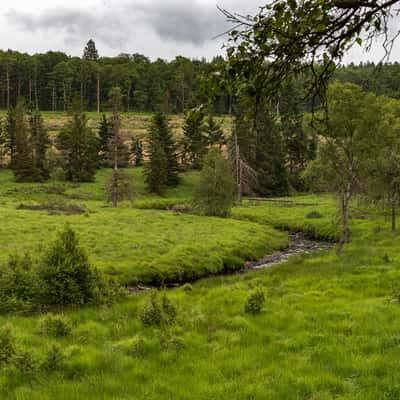 Hike along river at Hautes Fagnes, Belgium