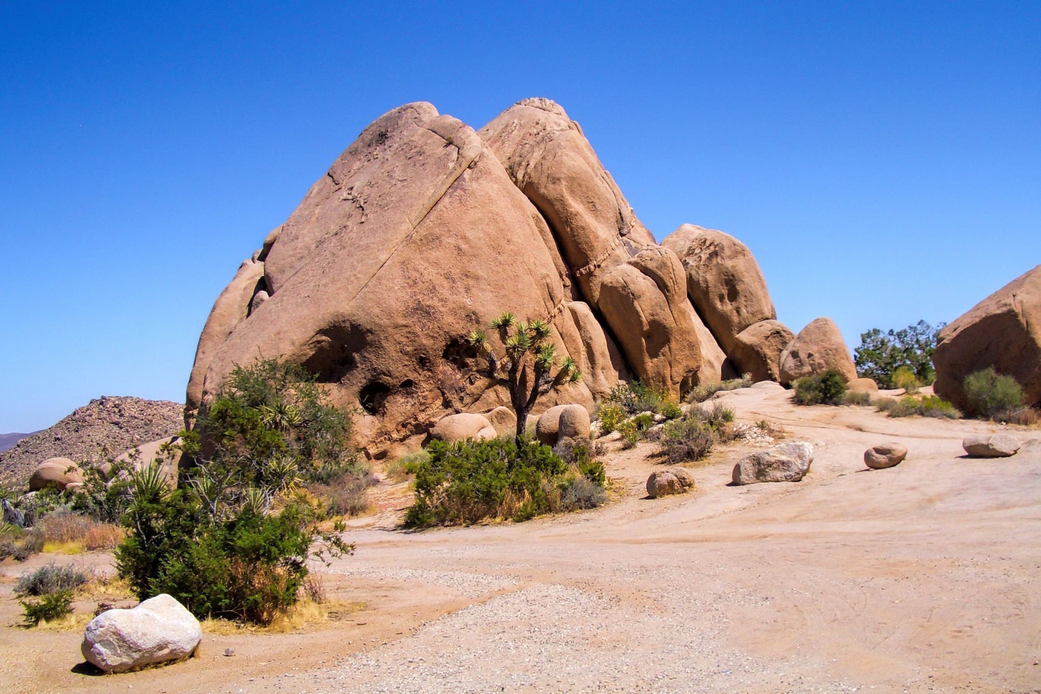 Joshua Tree National Park, California, USA