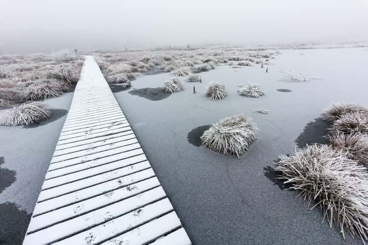 Lake Hautes Fagnes
