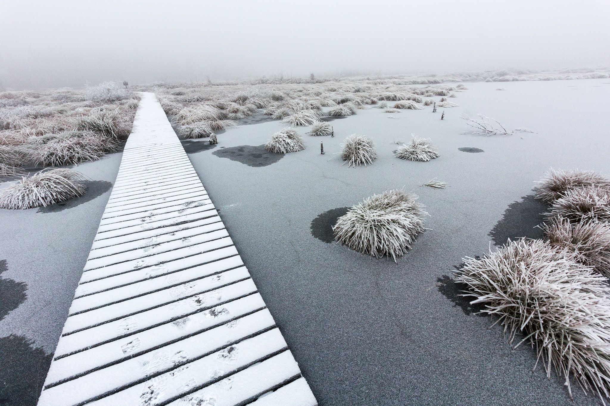 Lake Hautes Fagnes, Belgium
