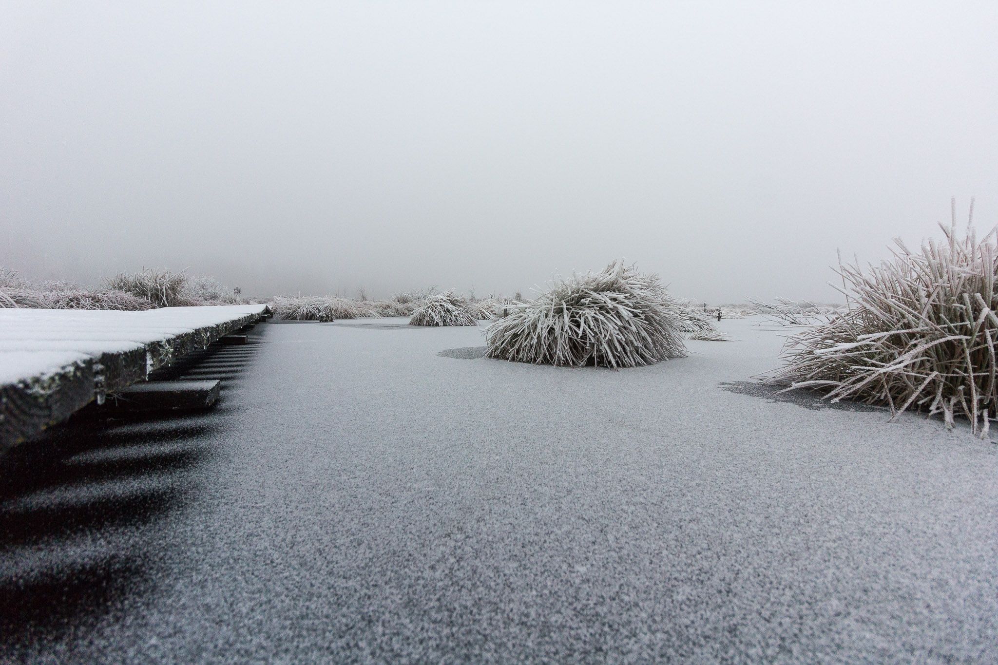 Lake Hautes Fagnes, Belgium
