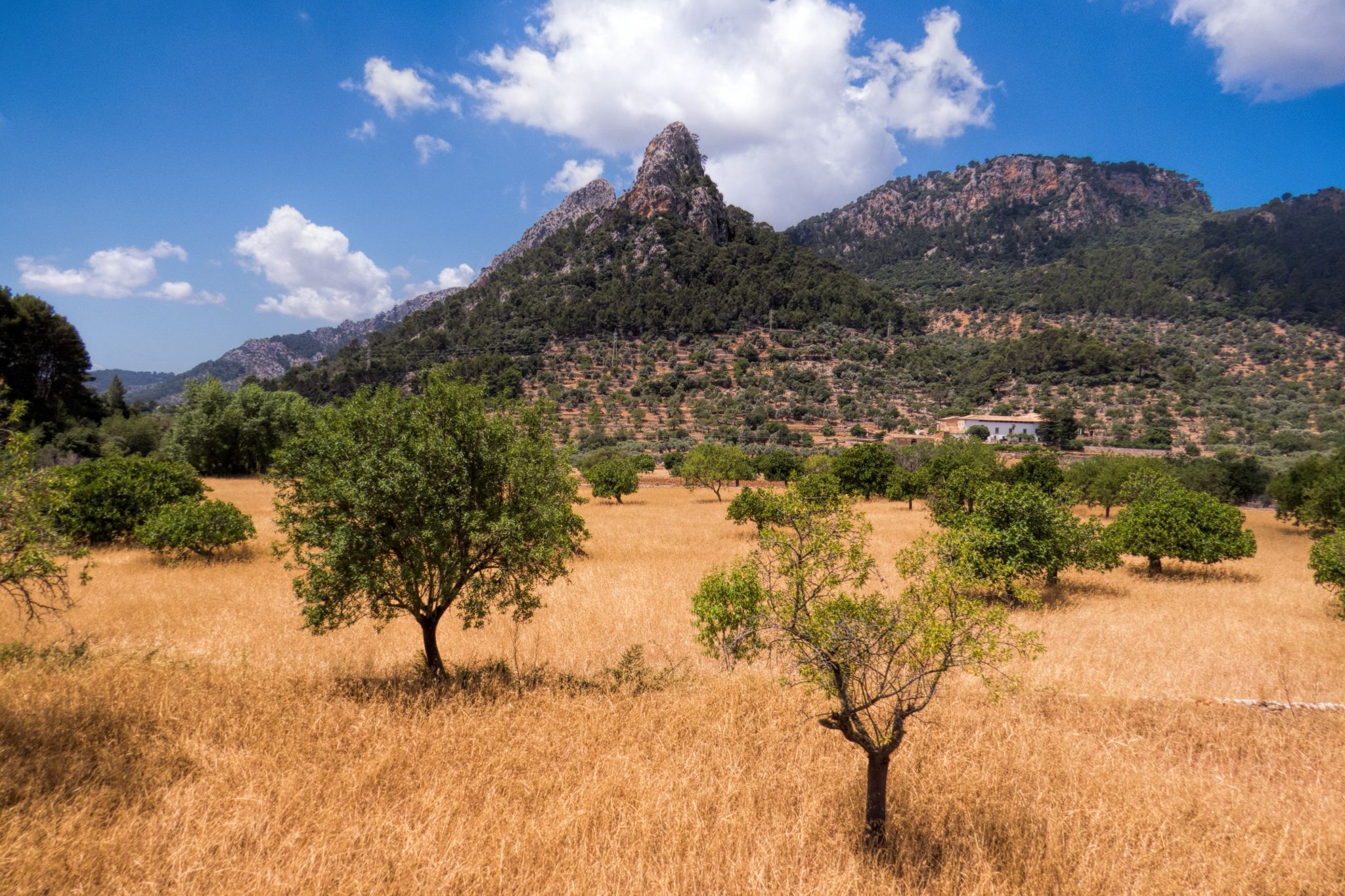 Mallorca, Spain