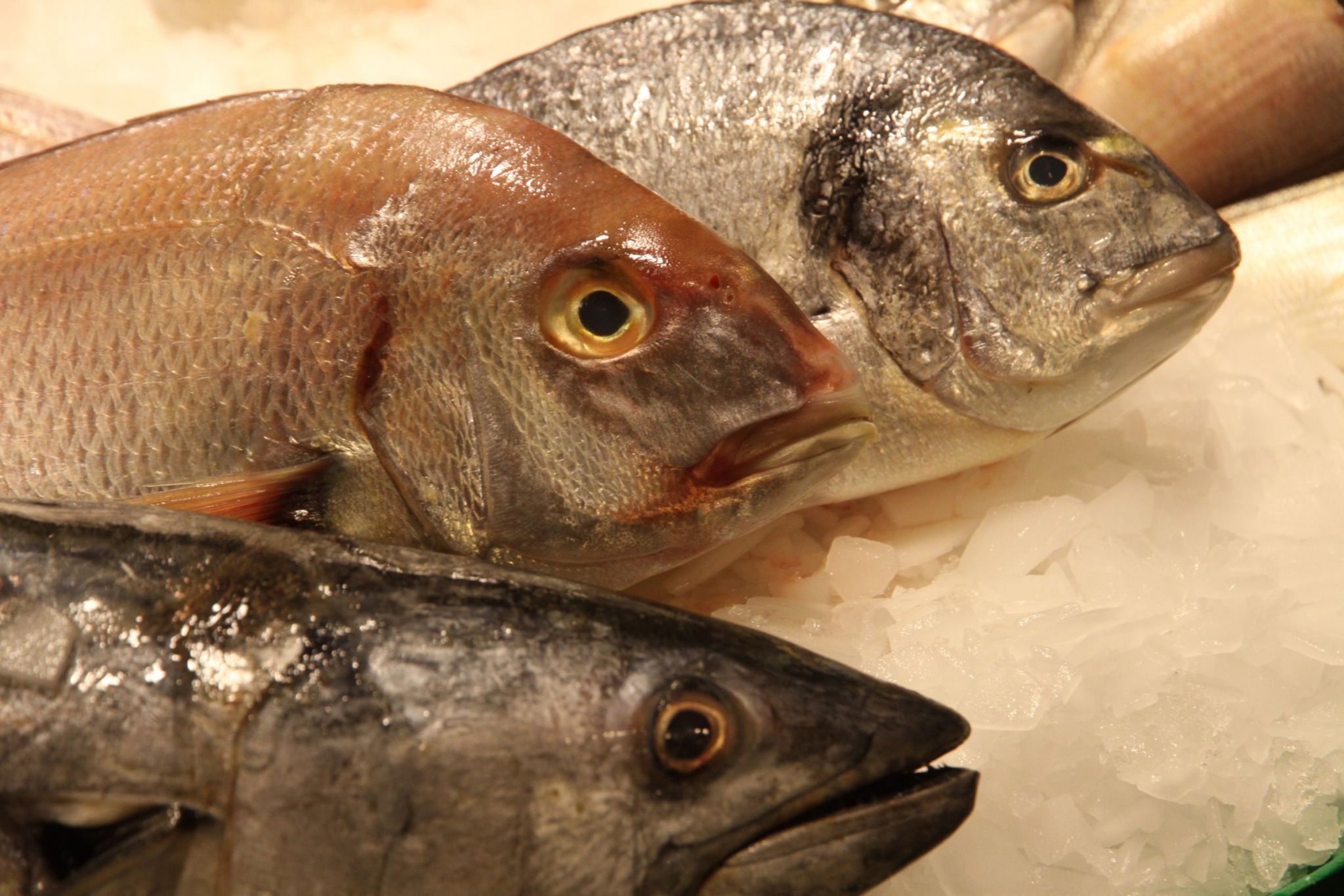 Mercat St. Josep La Boqueria, Barcelona, Spain