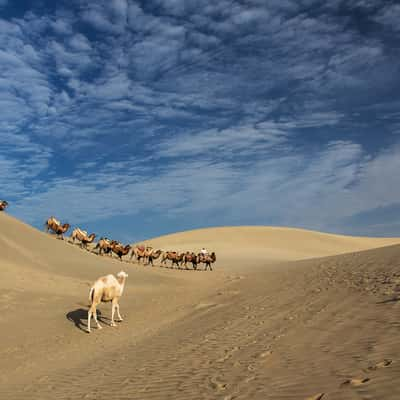 Take me with you!, China