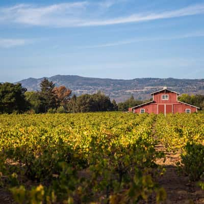 Red barn in Napa, USA