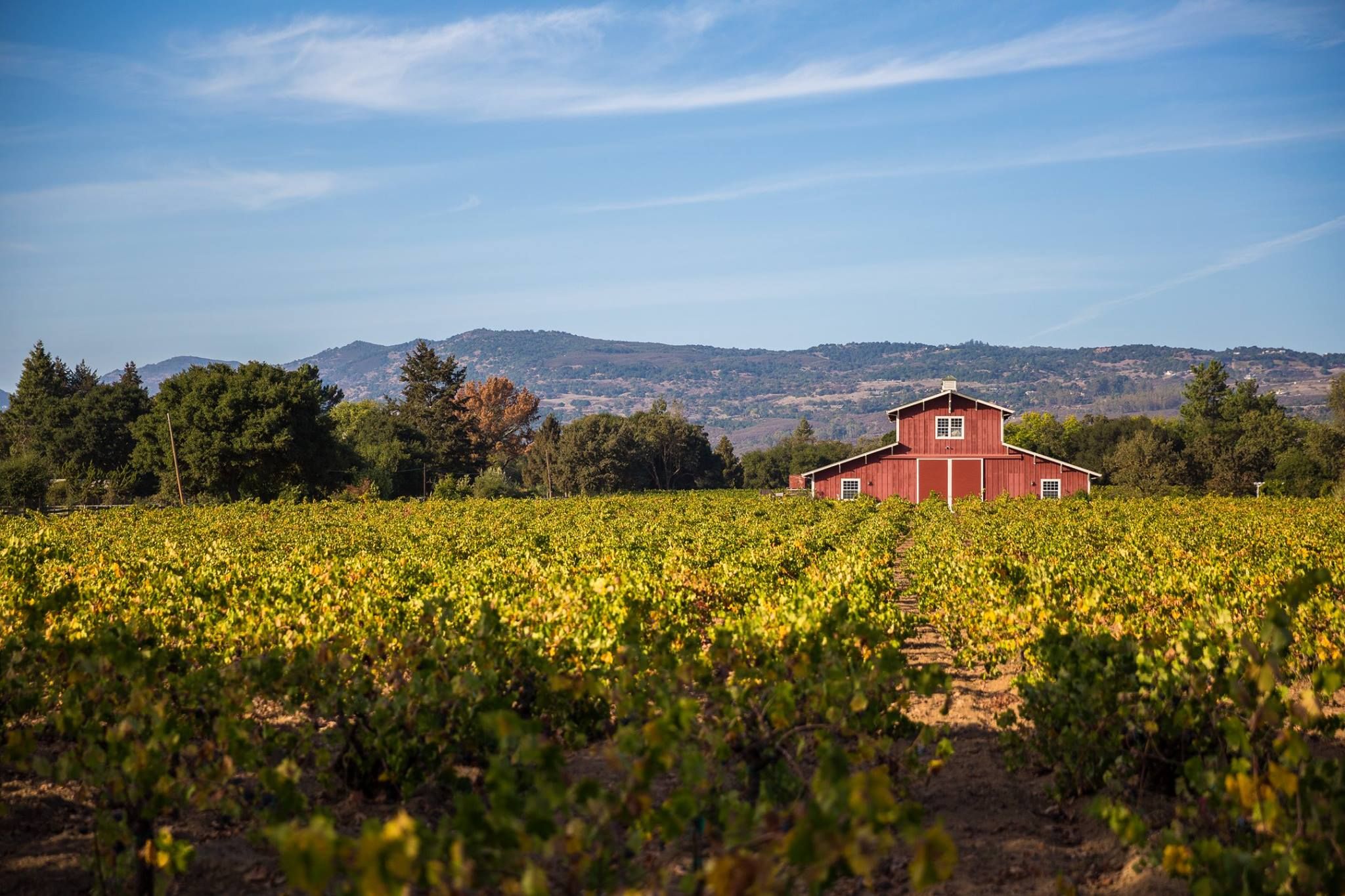 Red barn in Napa, USA