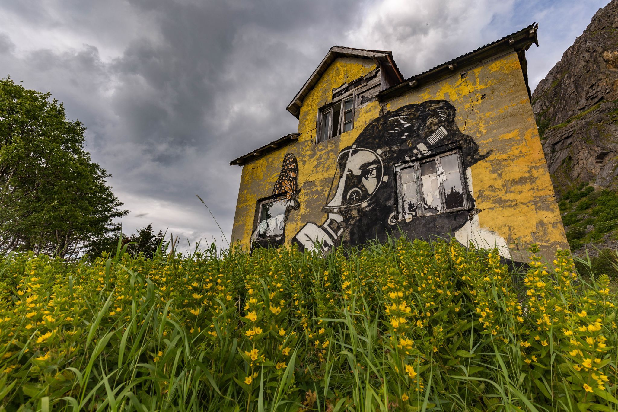 Pøbel Butterfly Street-Art, Lofoten, Norway