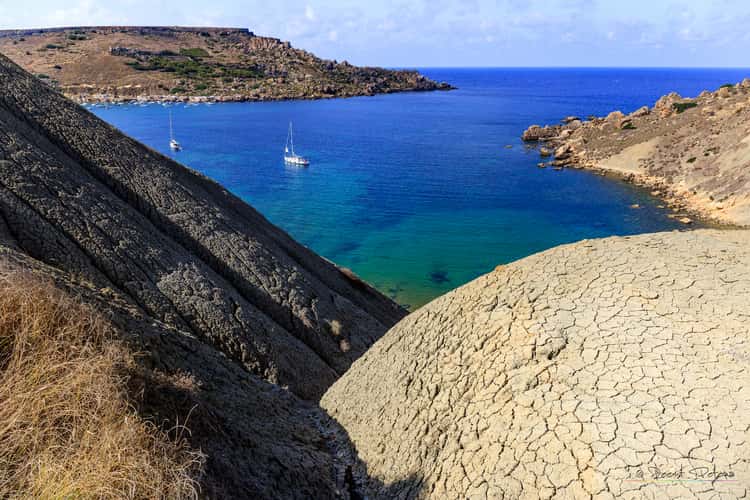 Ta'Lippija