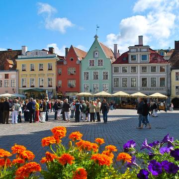 Tallinn Town Hall Square, Estonia