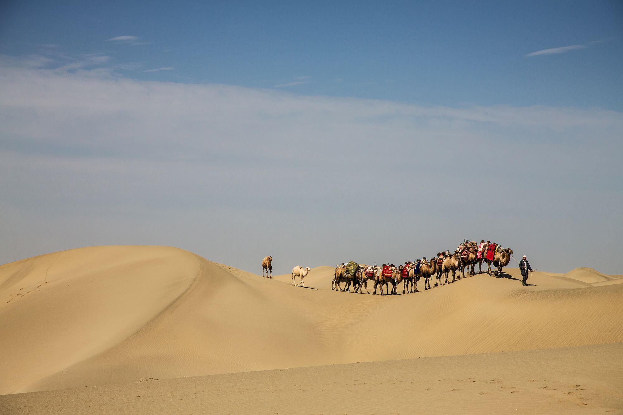 On the way in the Taklamakan Desert, China