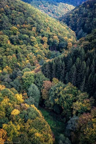 View from Geierlay