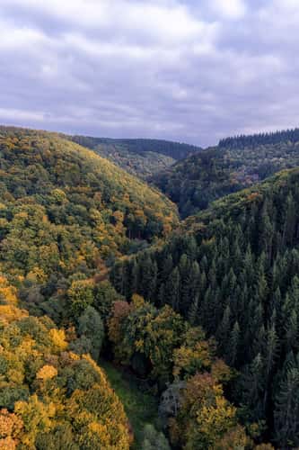 View from Geierlay