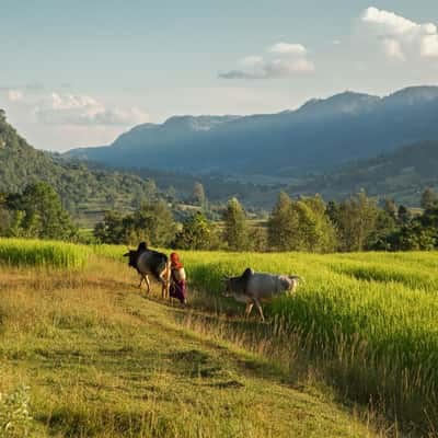 From Kalaw to Lake Inle2, Myanmar