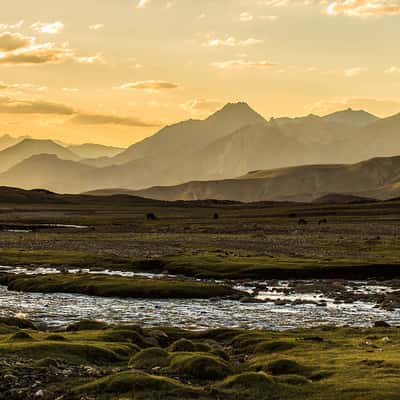 On 5000m, India