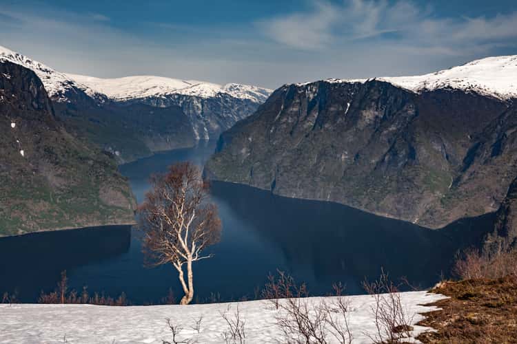 Aurlandsfjord near Aurland