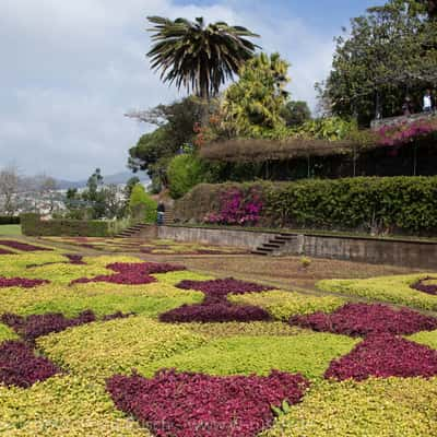 Botanischer Garten Funchal, Portugal