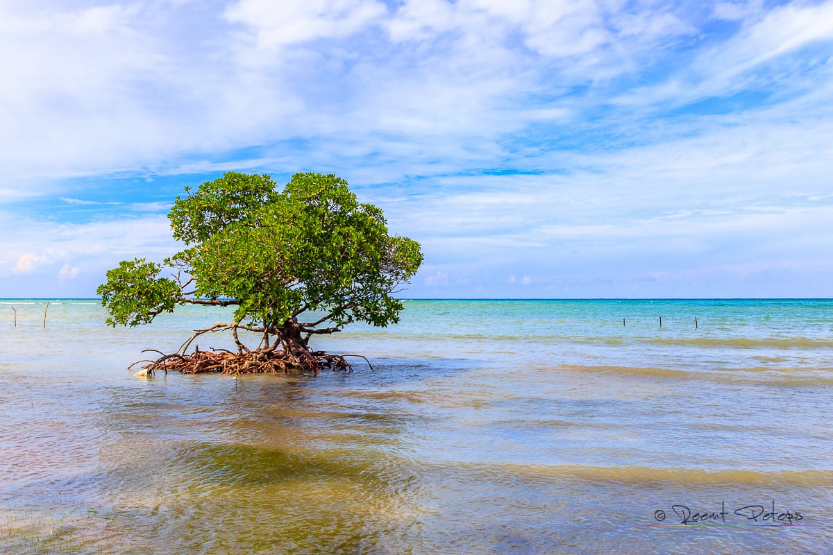 Carribean dream, Cuba