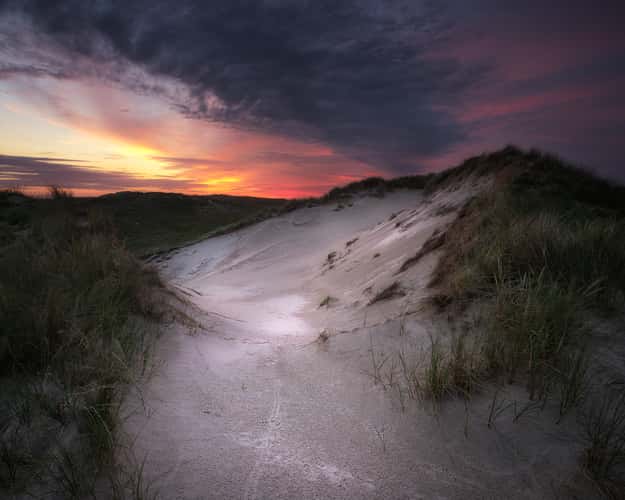 'Duinen van Den Helder'
