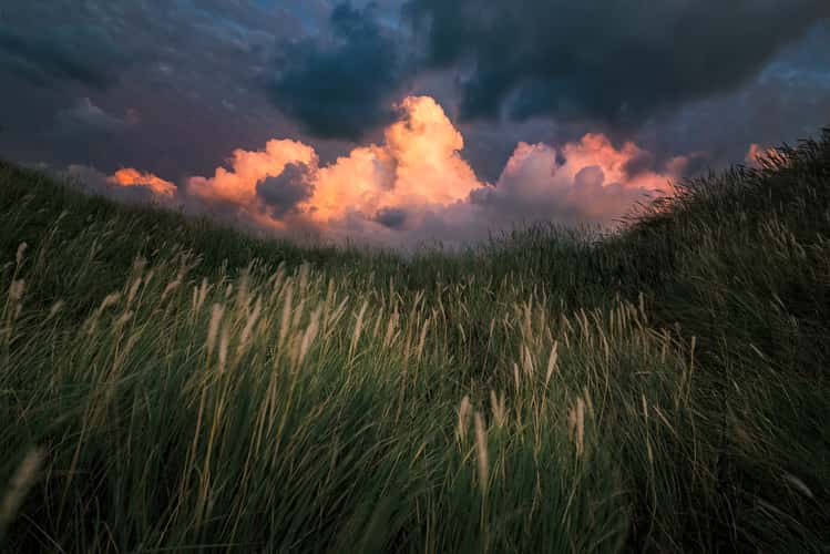 'Duinen van Den Helder'