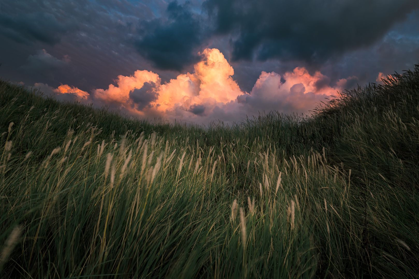 'Duinen van Den Helder', Netherlands