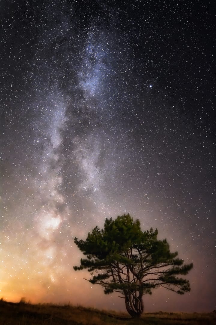 Grafelijkheidsduinen, Den Helder, Netherlands