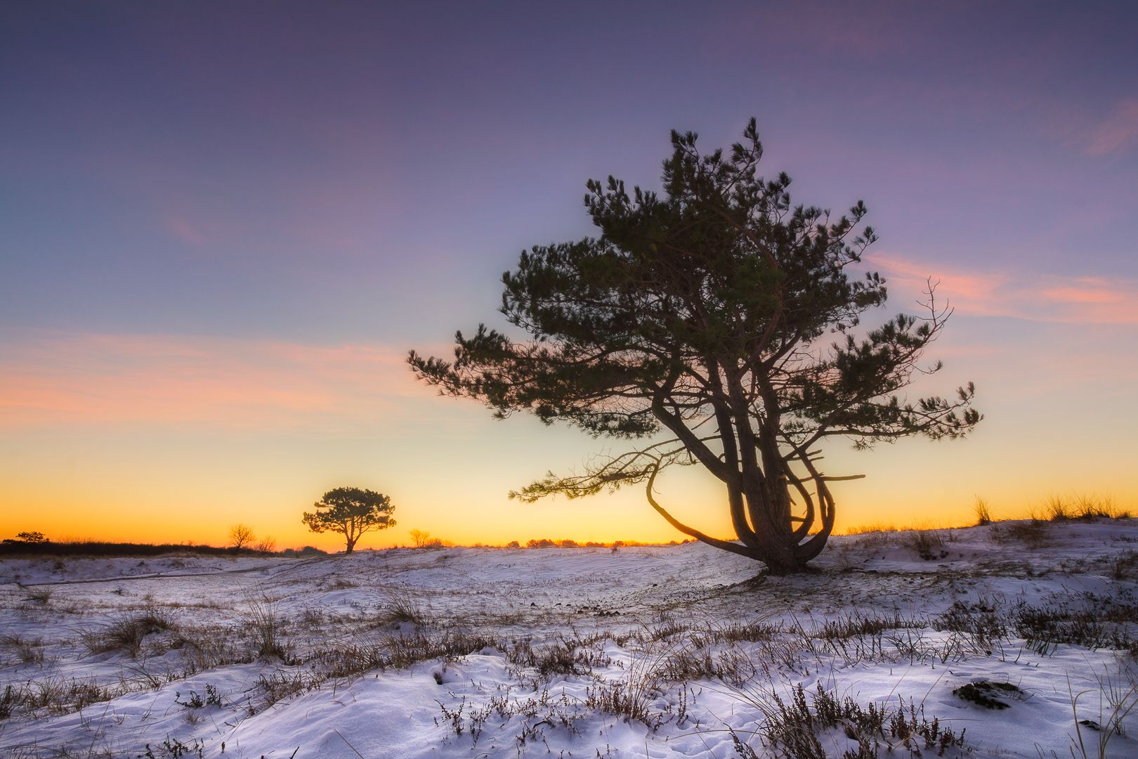 Grafelijkheidsduinen, Den Helder, Netherlands