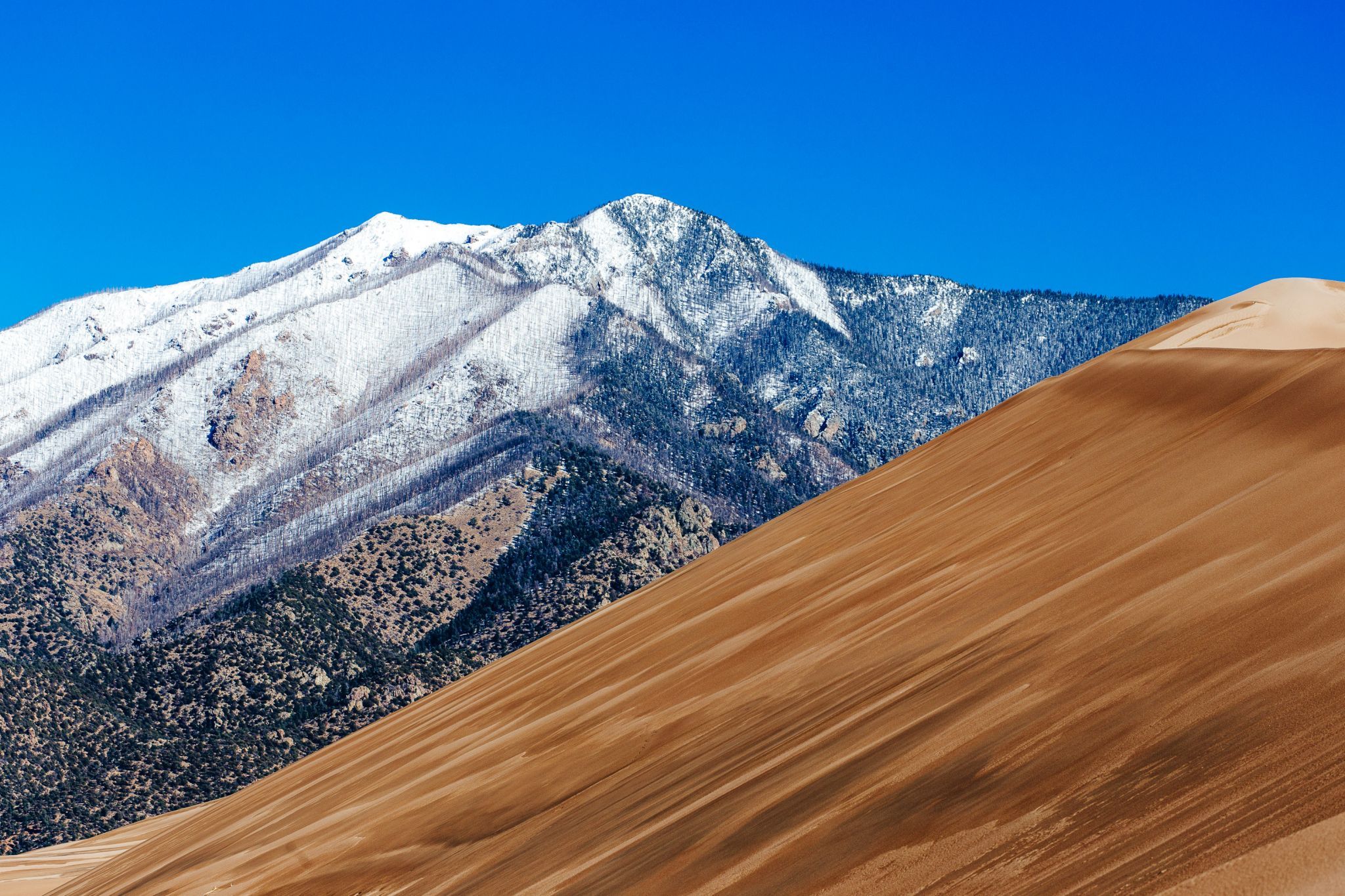 Great Sand Dunes National Park, Colorado, USA