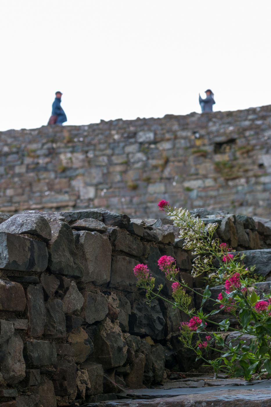 Harlech Castle, Snowdonia, Wales, United Kingdom