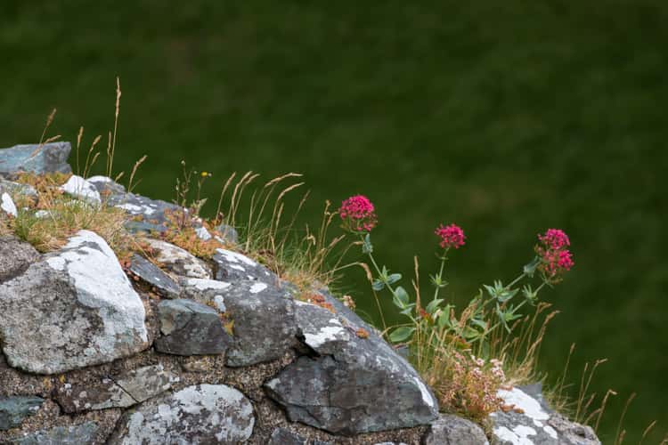 Harlech Castle, Snowdonia, Wales