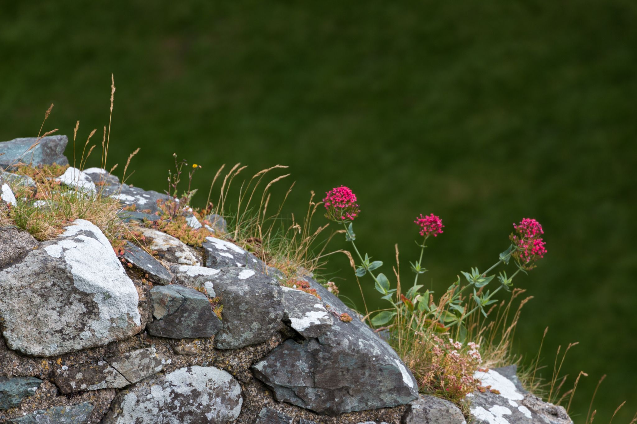 Harlech Castle, Snowdonia, Wales, United Kingdom