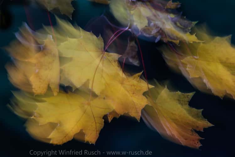 Autumn atmosphere in Dolmen