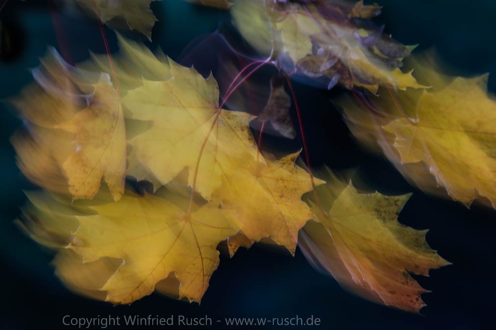 Autumn atmosphere in Dolmen, Germany