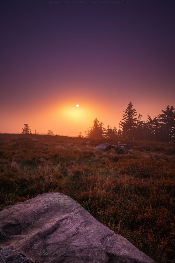 Hornisgrinde Black Forest, Germany