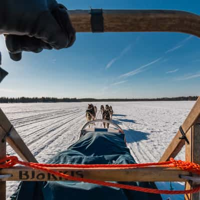 Husky-Safari near Kuusamo, Finland