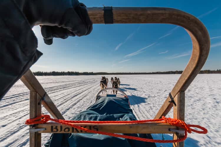 Husky-Safari near Kuusamo