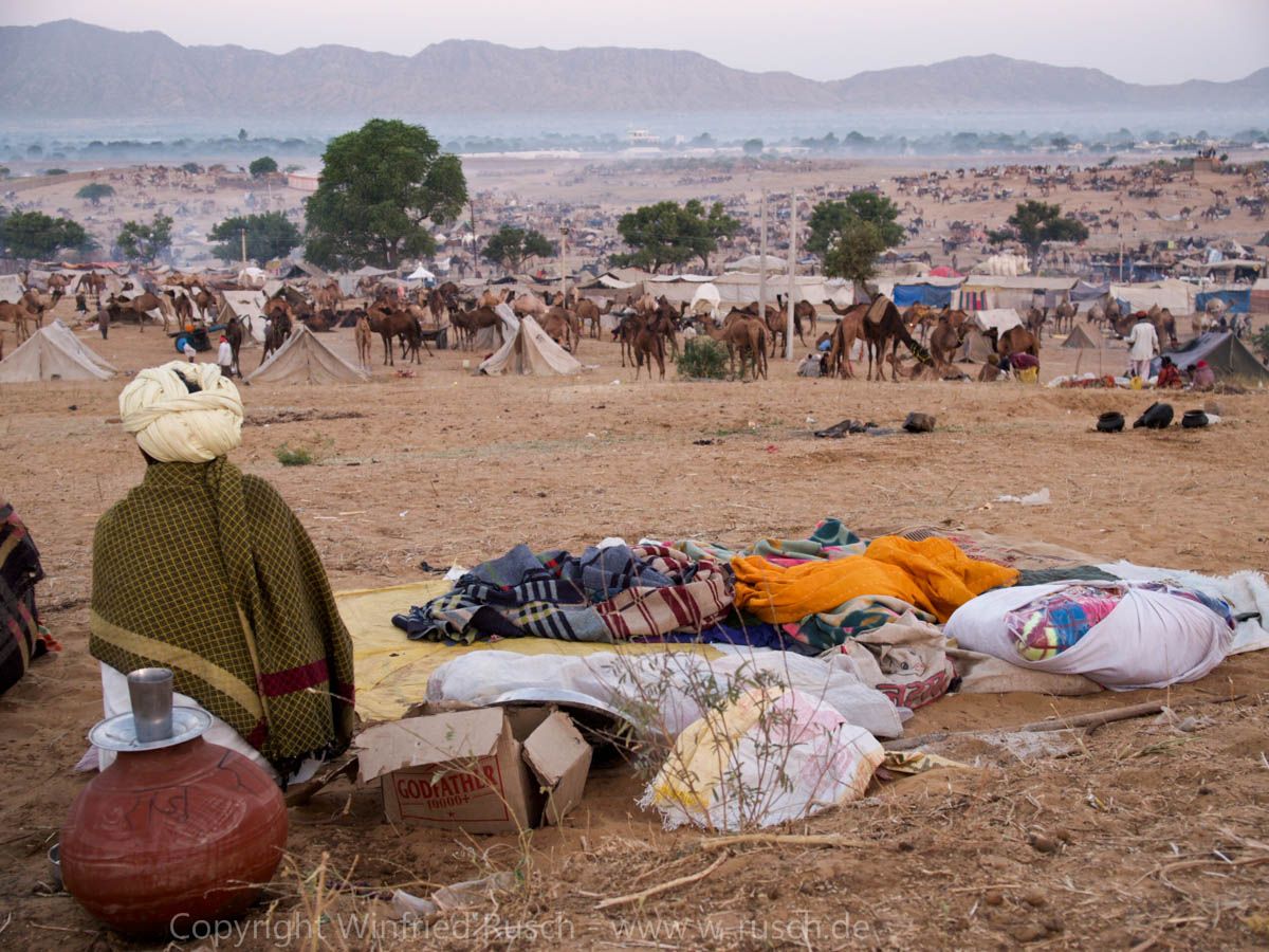 Kamelfestival in Pushkar, India