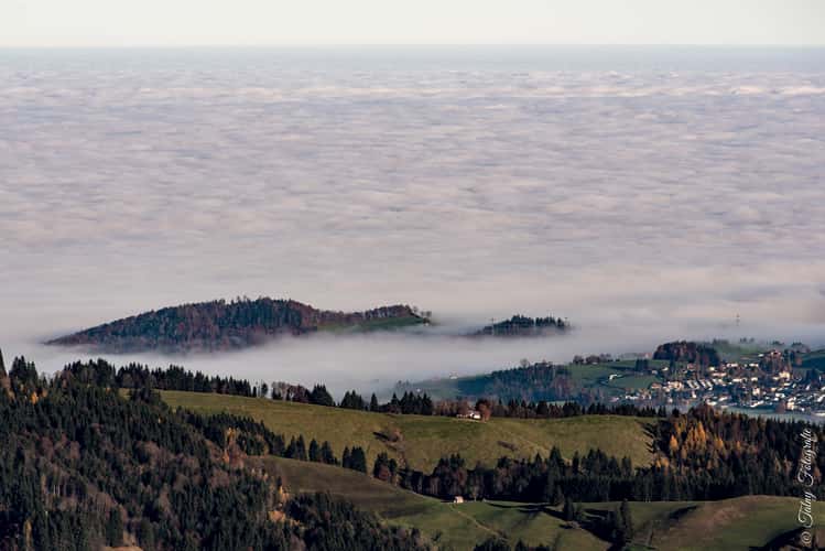 Kronberg