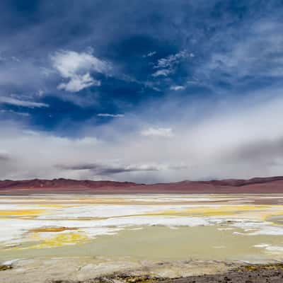 Laguna Pusja, Los Flamencos, Chile