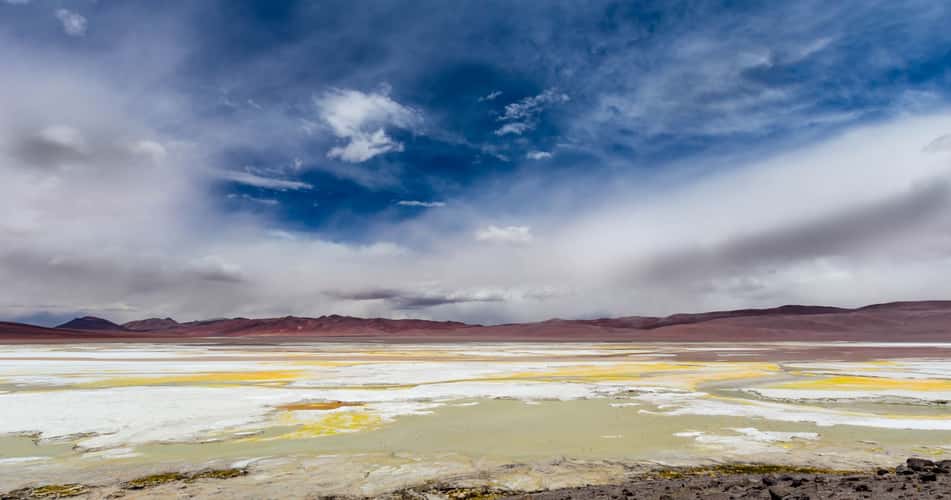 Laguna Pusja, Los Flamencos