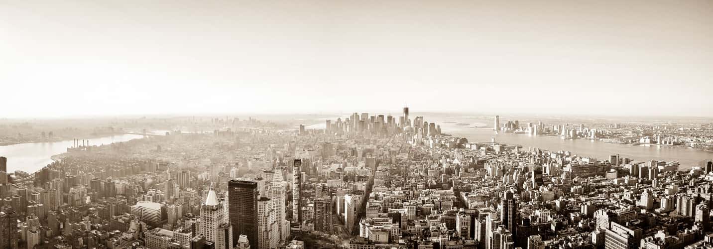 New York City View
