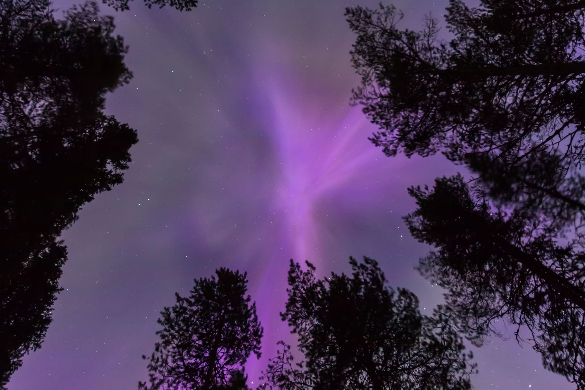 Northern Lights seen from Ollilian Lomamajat, Finland