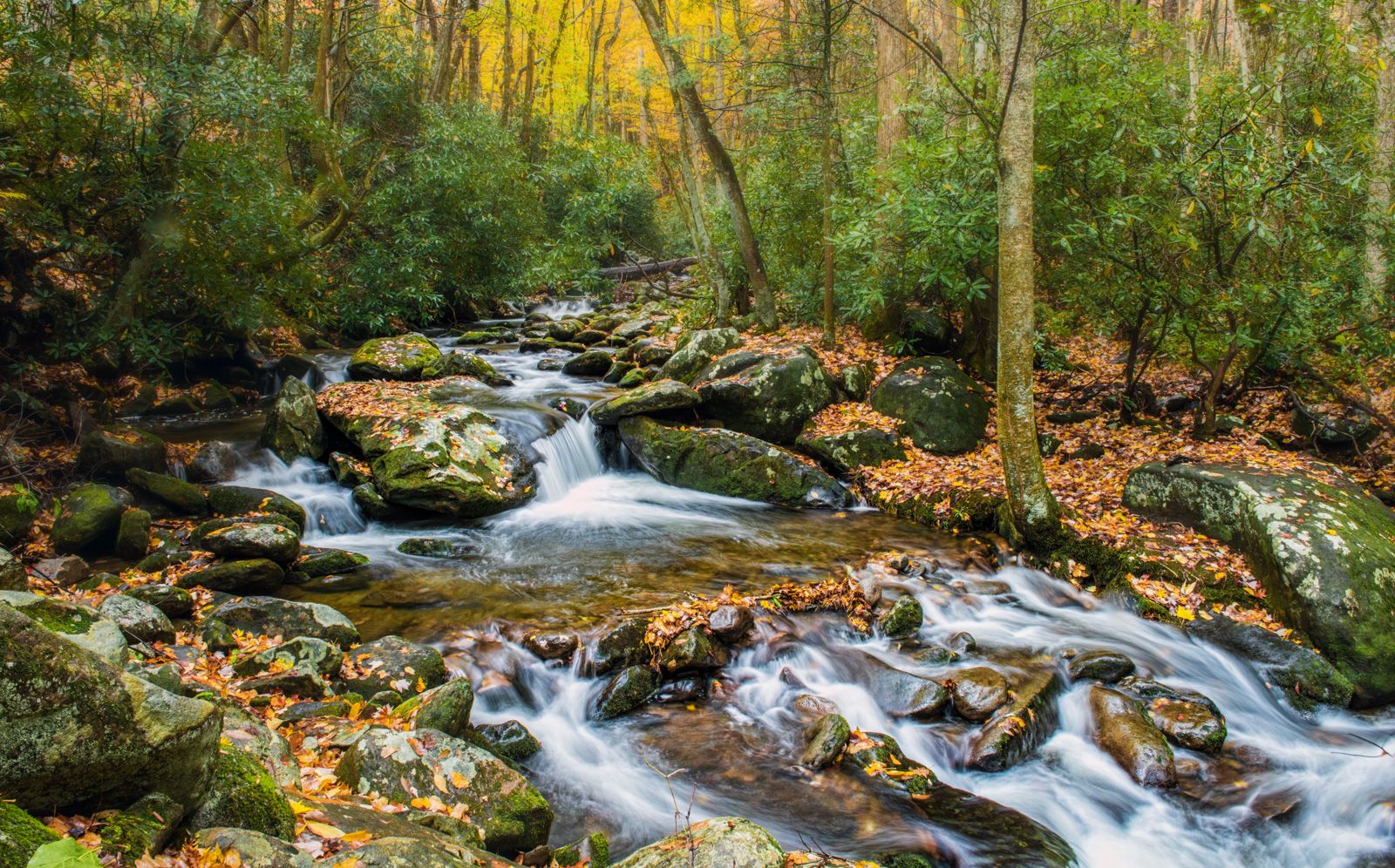 Roaring Fork, USA