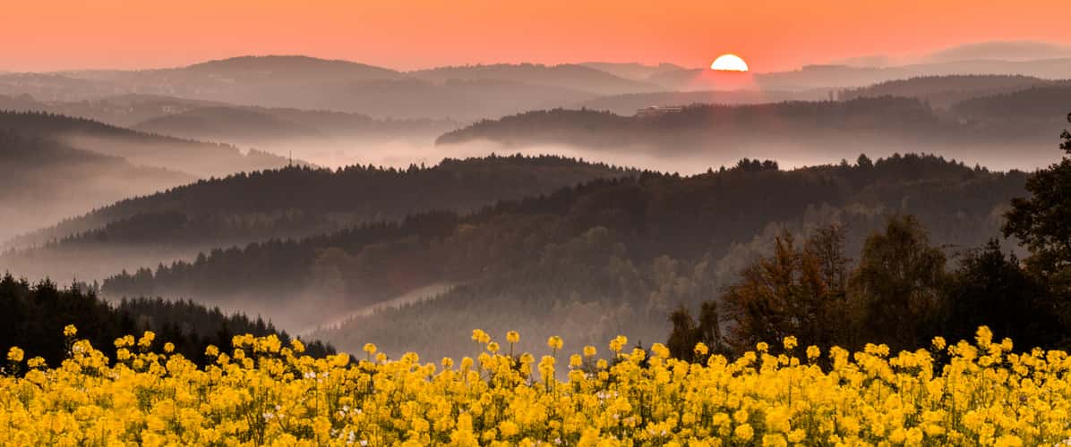 Sauerland from Schöneberge