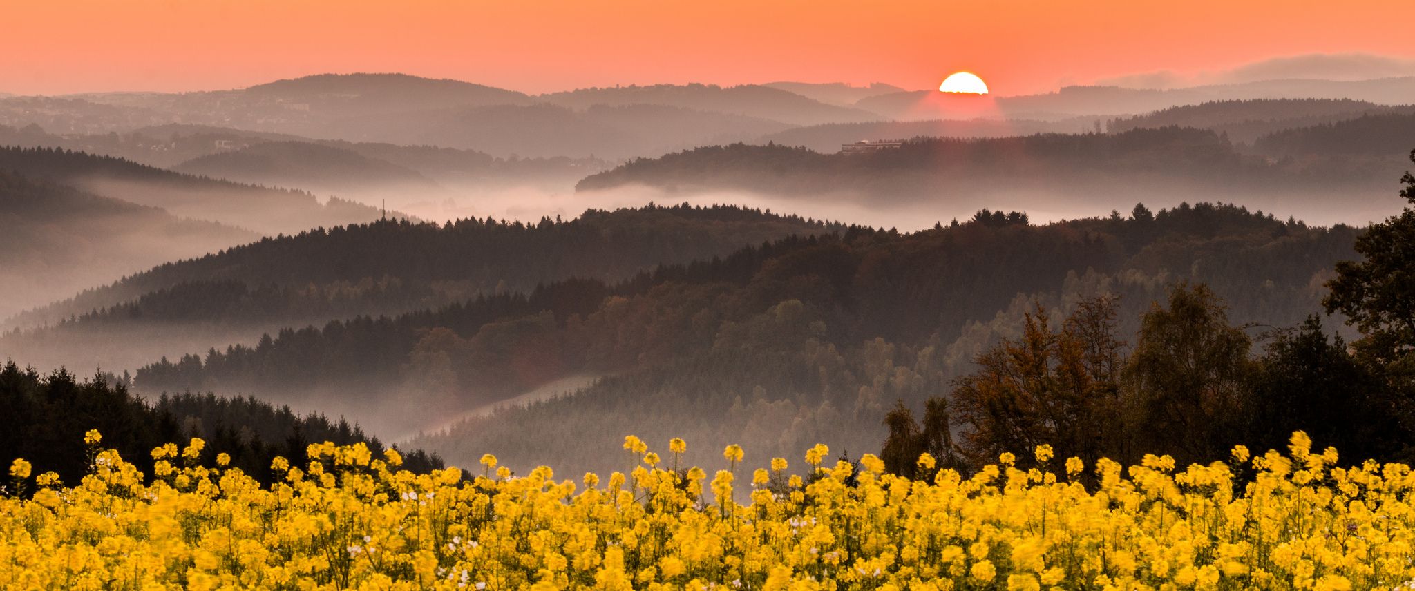 Sauerland from Schöneberge, Germany