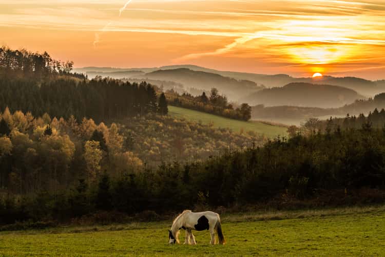 Sauerland near Rärin, Herscheid